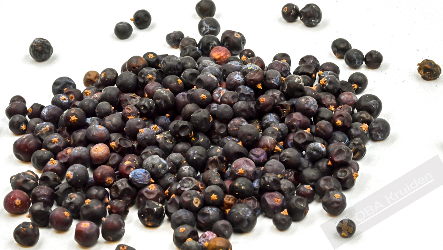 Jenever Bessen bestellen Jenever Bessen bestellen