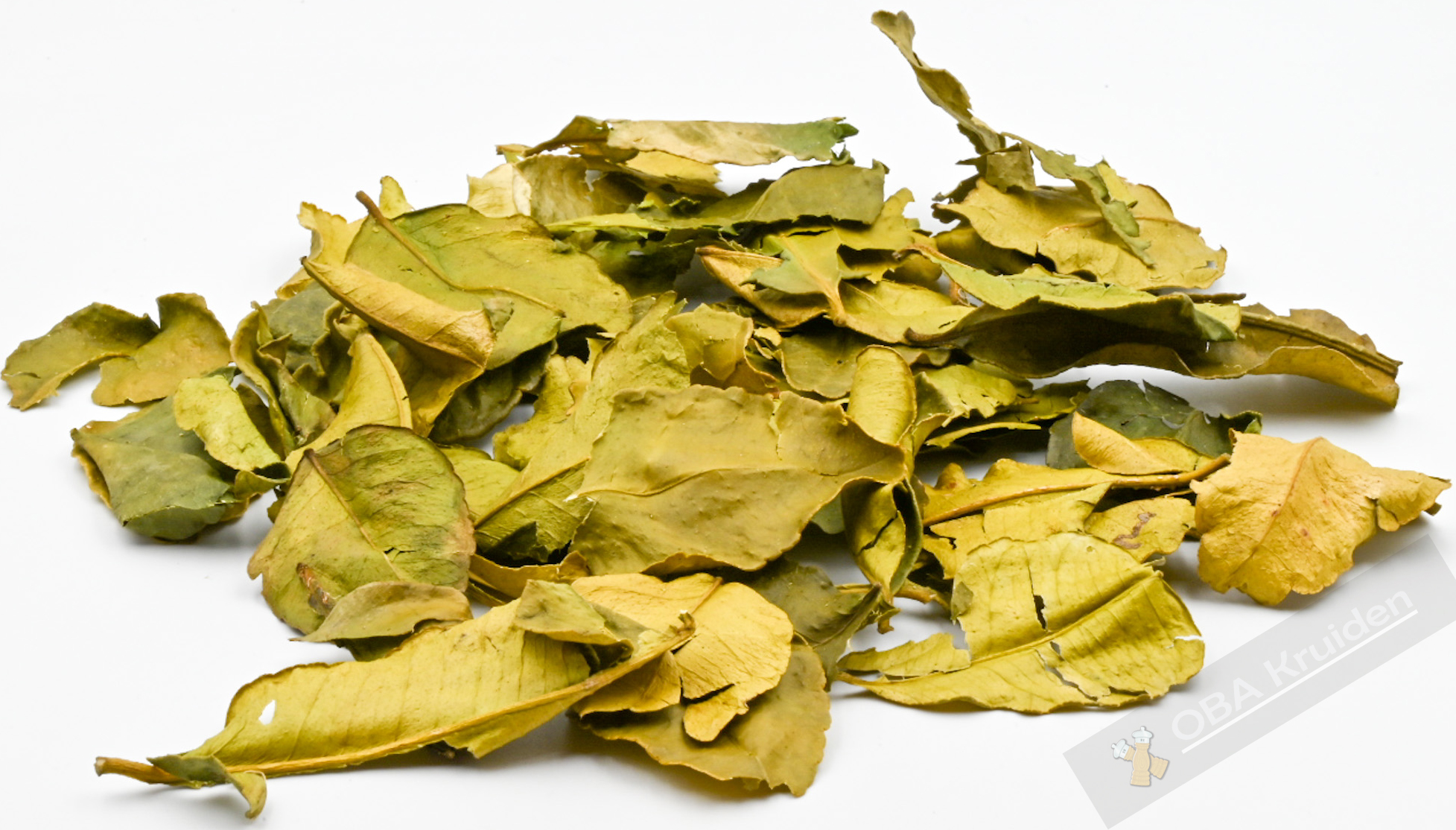 Citroen blad/ Daun djeroek peroet bestellen Citroen blad/ Daun djeroek peroet bestellen